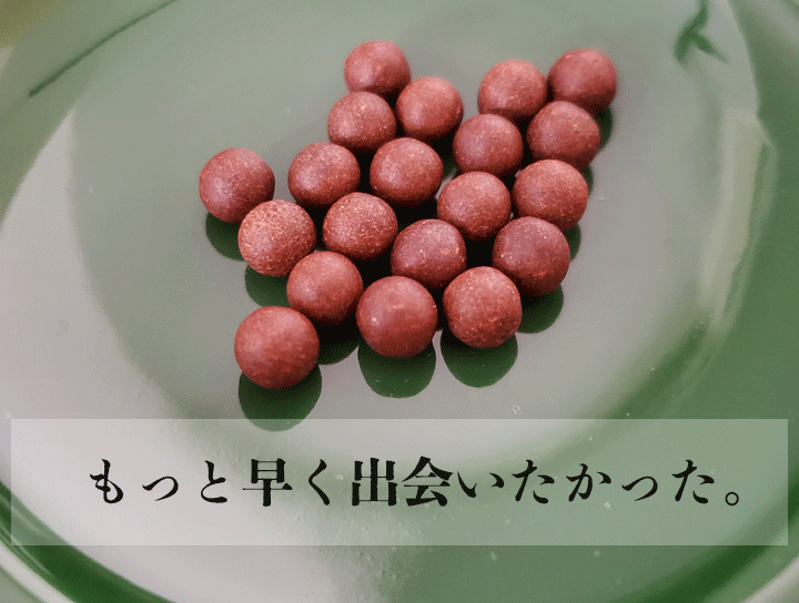 もっと早く出会いたかった。